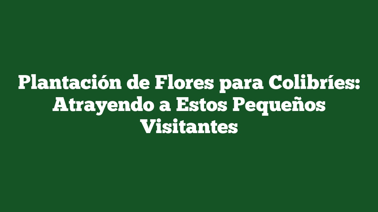 Plantación de Flores para Colibríes: Atrayendo a Estos Pequeños Visitantes
