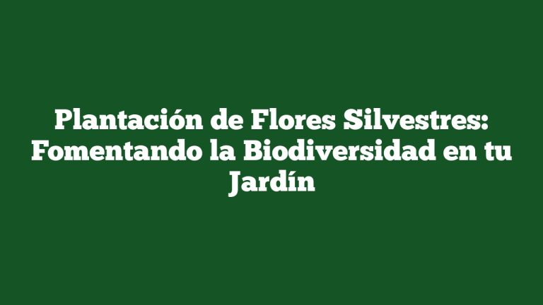 Imagen de Plantación de Flores Silvestres: Fomentando la Biodiversidad en tu Jardín Plantación de Flores Silvestres: Fomentando la Biodiversidad en tu Jardín