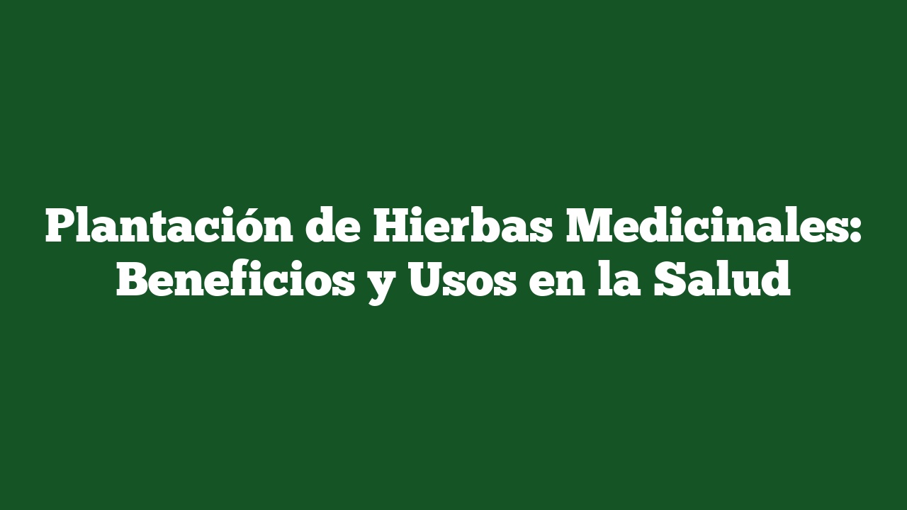 Plantación de Hierbas Medicinales: Beneficios y Usos en la Salud