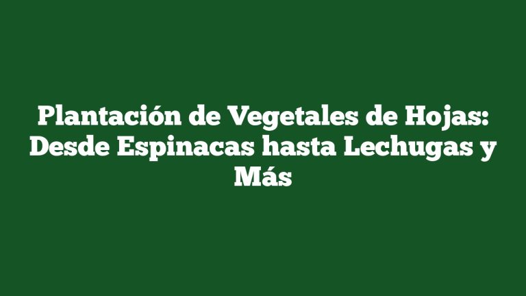 Plantación de Vegetales de Hojas: Desde Espinacas hasta Lechugas y Más
