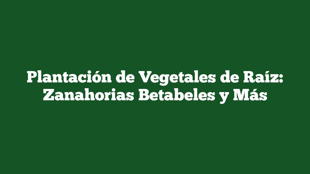 Plantación de Vegetales de Raíz: Zanahorias Betabeles y Más