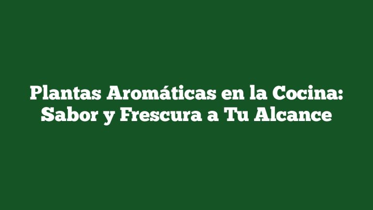 Plantas Aromáticas en la Cocina: Sabor y Frescura a Tu Alcance