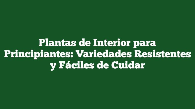 Plantas de Interior para Principiantes: Variedades Resistentes y Fáciles de Cuidar