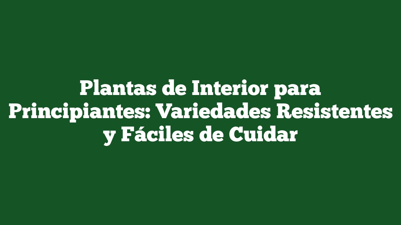 Plantas de Interior para Principiantes: Variedades Resistentes y Fáciles de Cuidar