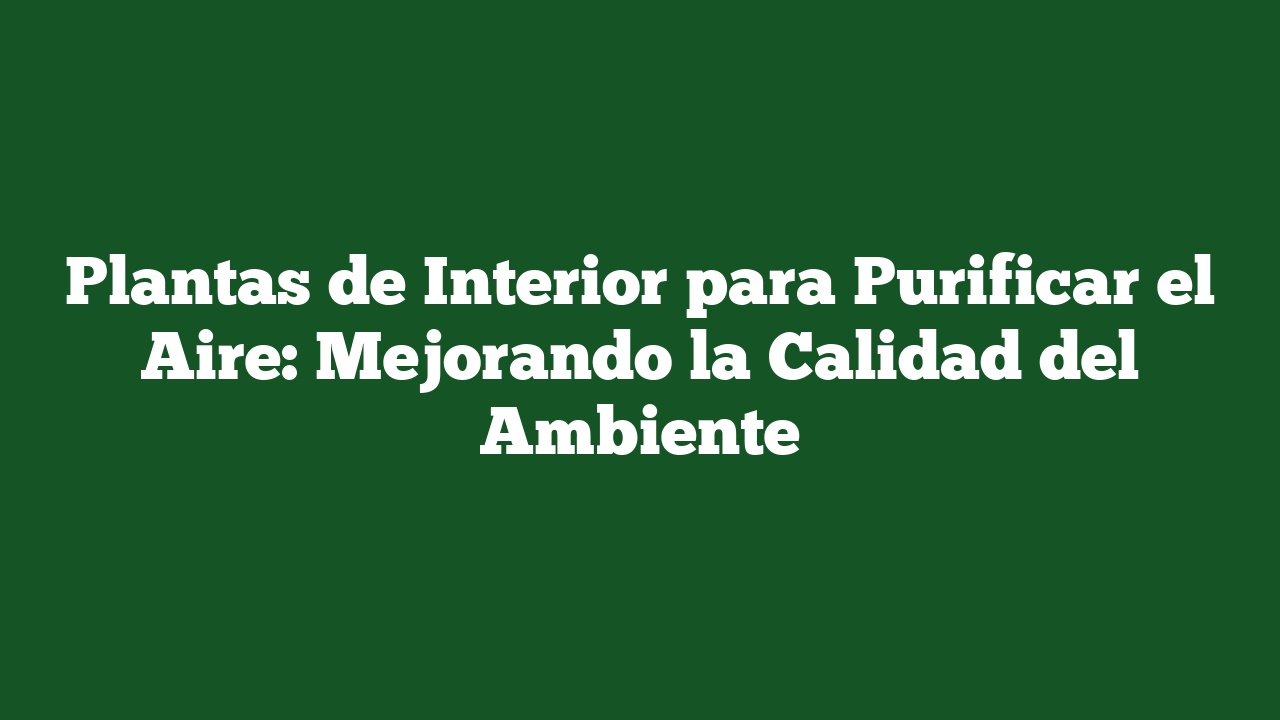 Plantas de Interior para Purificar el Aire: Mejorando la Calidad del Ambiente