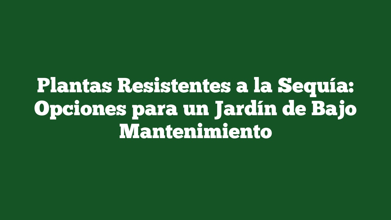 Plantas Resistentes a la Sequía: Opciones para un Jardín de Bajo Mantenimiento