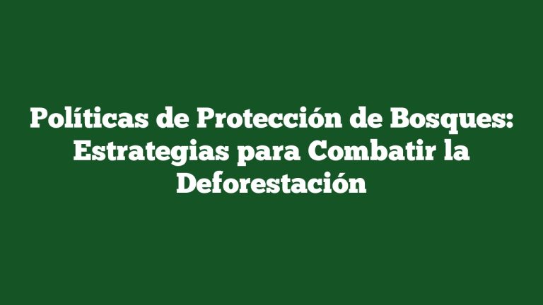 Imagen de Políticas de Protección de Bosques: Estrategias para Combatir la Deforestación Políticas de Protección de Bosques: Estrategias para Combatir la Deforestación