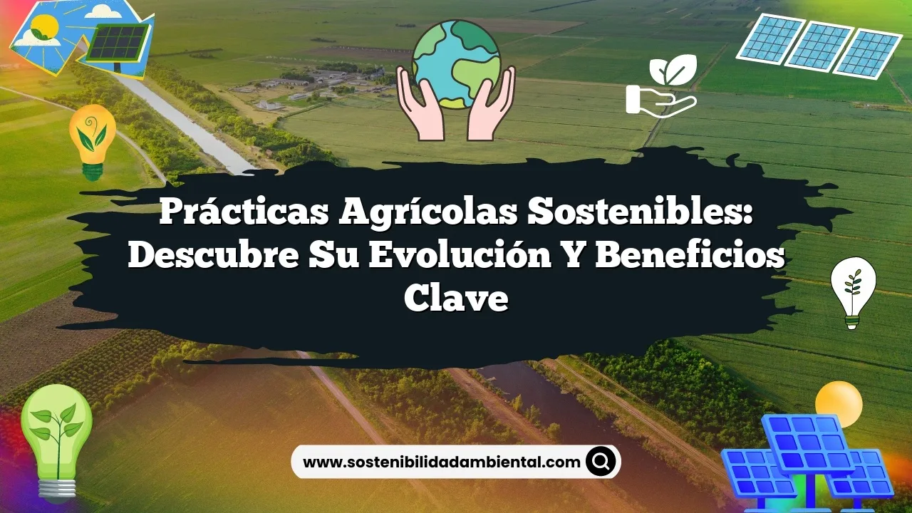 Prácticas Agrícolas Sostenibles: Descubre su Evolución y Beneficios Clave
