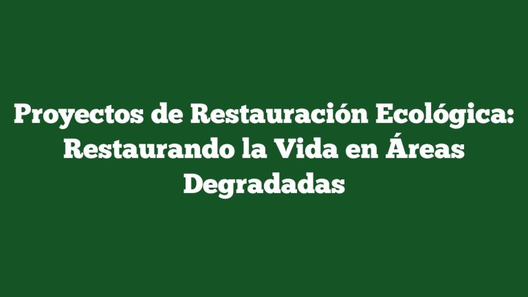 Proyectos de Restauración Ecológica: Restaurando la Vida en Áreas Degradadas
