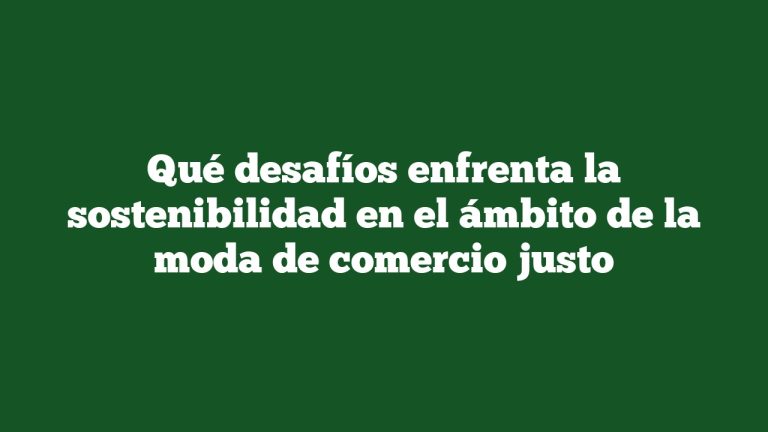 Qué desafíos enfrenta la sostenibilidad en el ámbito de la moda de comercio justo