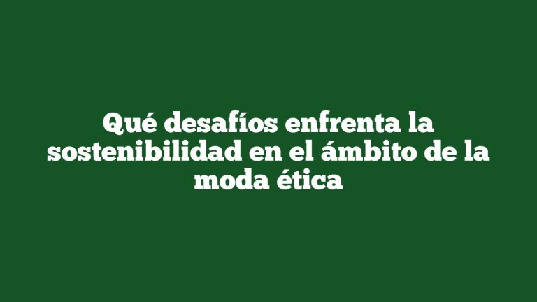Imagen de Qué desafíos enfrenta la sostenibilidad en el ámbito de la moda ética Qué desafíos enfrenta la sostenibilidad en el ámbito de la moda ética