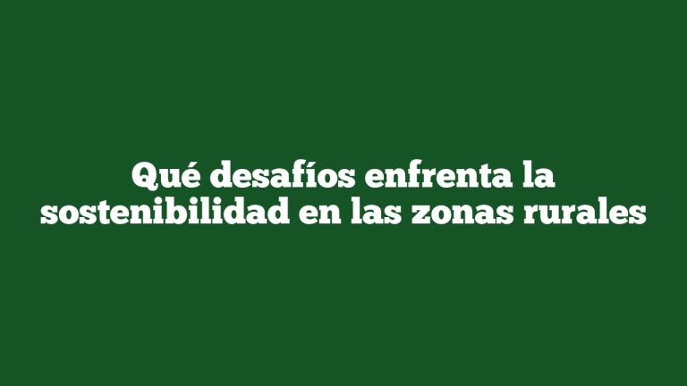 Qué desafíos enfrenta la sostenibilidad en las zonas rurales