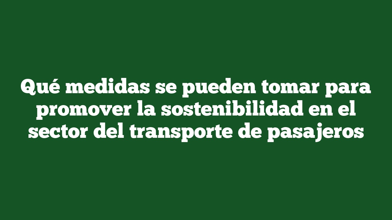 Qué medidas se pueden tomar para promover la sostenibilidad en el sector del transporte de pasajeros