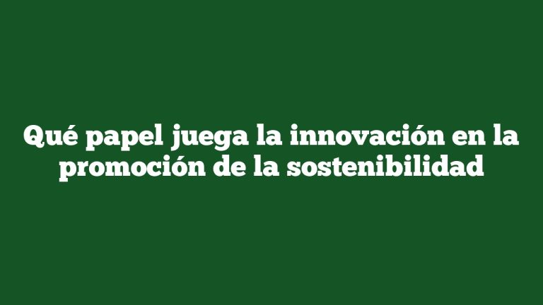 Qué papel juega la innovación en la promoción de la sostenibilidad
