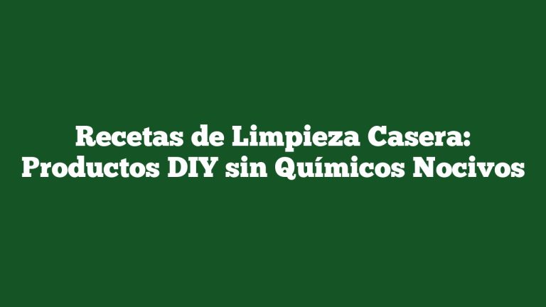 Imagen de Recetas de Limpieza Casera: Productos DIY sin Químicos Nocivos Recetas de Limpieza Casera: Productos DIY sin Químicos Nocivos