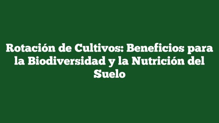Rotación de Cultivos: Beneficios para la Biodiversidad y la Nutrición del Suelo