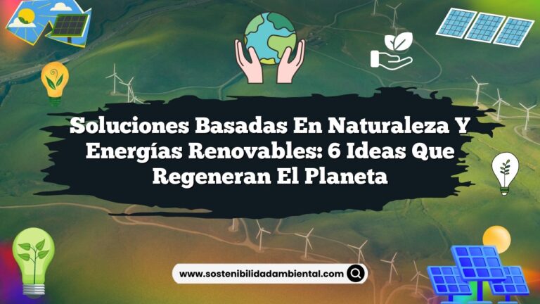 Soluciones Basadas en Naturaleza y Energías Renovables: 6 Ideas que Regeneran el Planeta