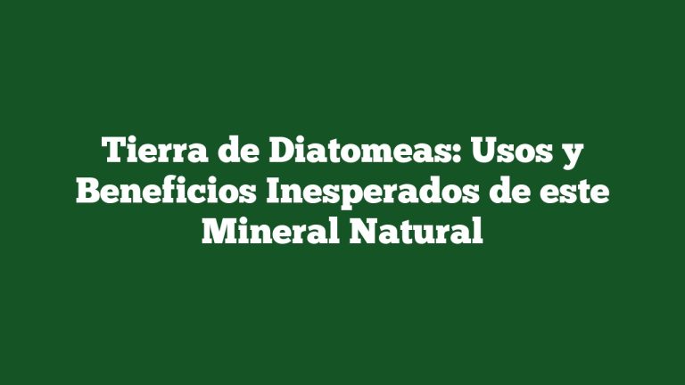 Imagen de Tierra de Diatomeas: Usos y Beneficios Inesperados de este Mineral Natural Tierra de Diatomeas: Usos y Beneficios Inesperados de este Mineral Natural