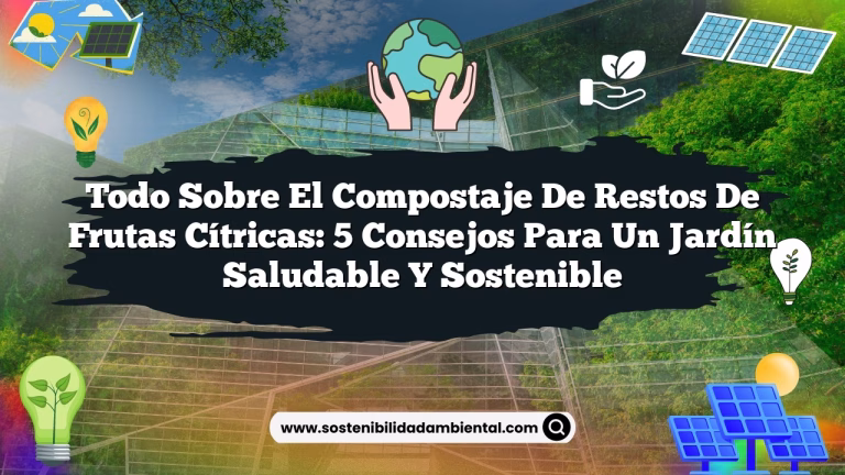 Imagen de Todo sobre el Compostaje de Restos de Frutas Cítricas: 5 Consejos para un Jardín Saludable y Sostenible Todo sobre el Compostaje de Restos de Frutas Cítricas: 5 Consejos para un Jardín Saludable y Sostenible