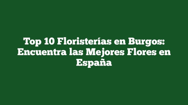 Imagen de Top 10 Floristerías en Burgos: Encuentra las Mejores Flores en España Top 10 Floristerías en Burgos: Encuentra las Mejores Flores en España