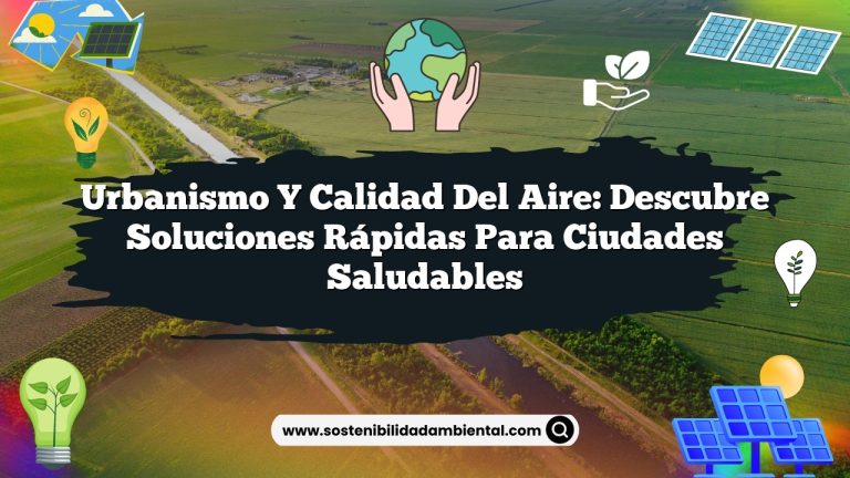 Imagen de Urbanismo y calidad del aire: descubre soluciones rápidas para ciudades saludables Urbanismo y calidad del aire: descubre soluciones rápidas para ciudades saludables