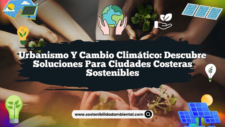 Imagen de Urbanismo y cambio climático: descubre soluciones para ciudades costeras sostenibles Urbanismo y cambio climático: descubre soluciones para ciudades costeras sostenibles
