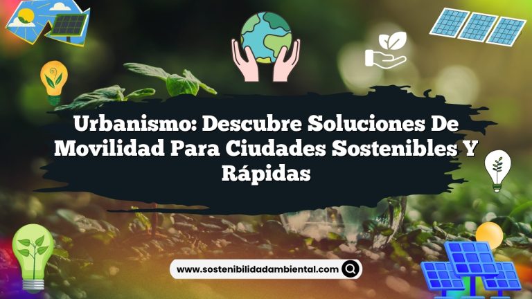 Urbanismo: descubre soluciones de movilidad para ciudades sostenibles y rápidas